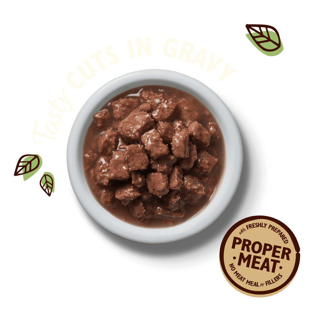 LILY'S KITCHEN Tasty Cuts in Gravy for Cats 8 x 85g Multipack - Pets Villa