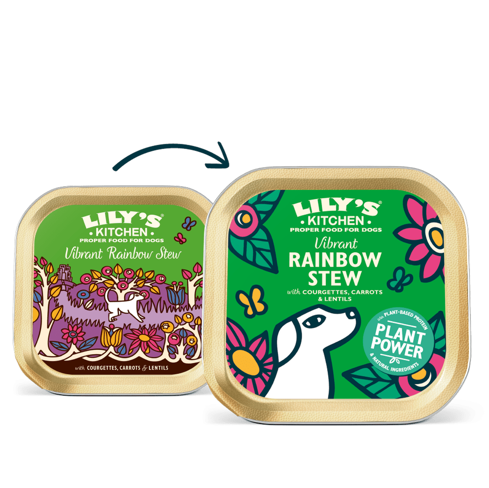 LILY'S KITCHEN Vibrant Rainbow Stew (Vegan Recipe)