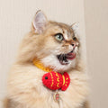 Lucky Fish Decorative Pet Collar - Pets Villa
