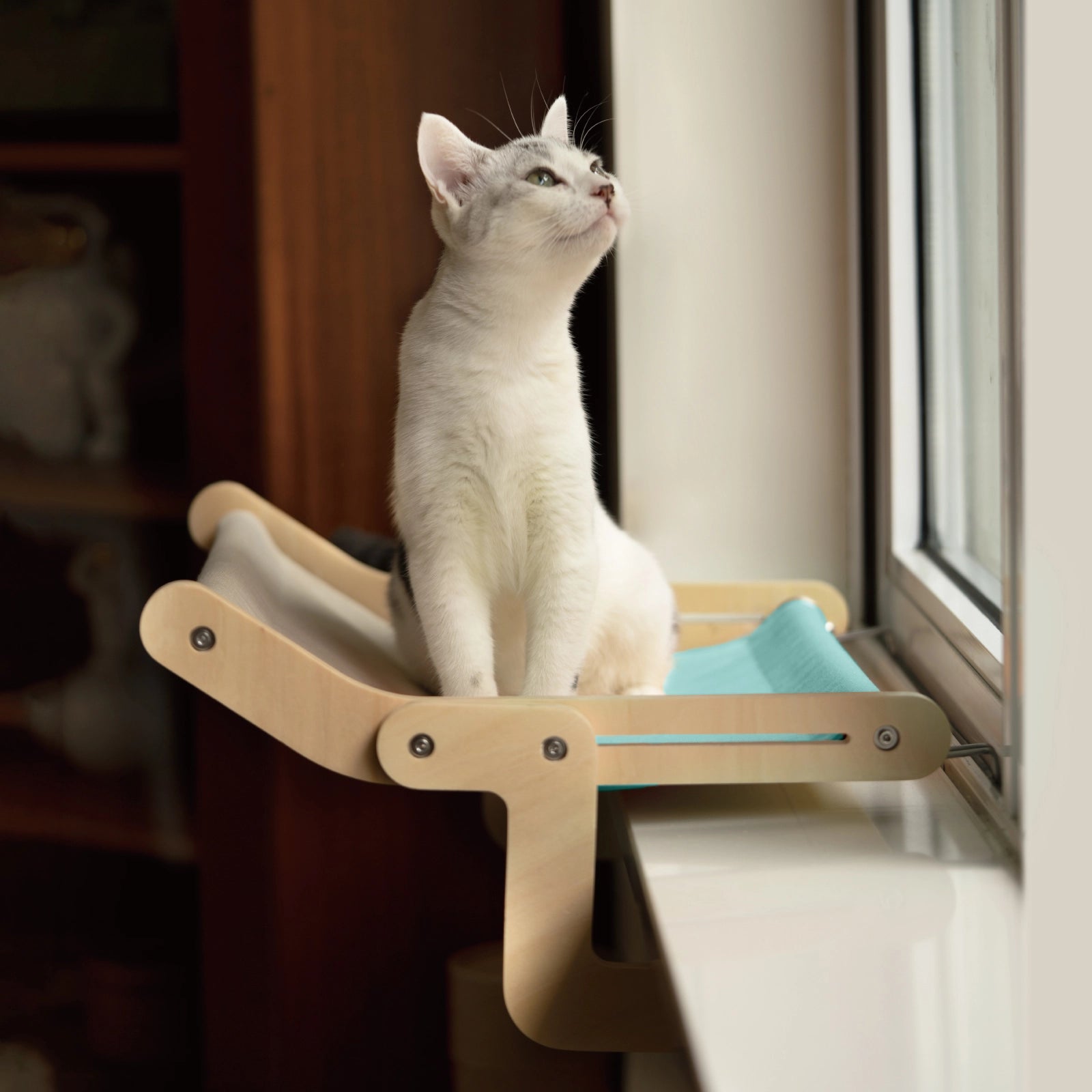 Window hanging online cat bed