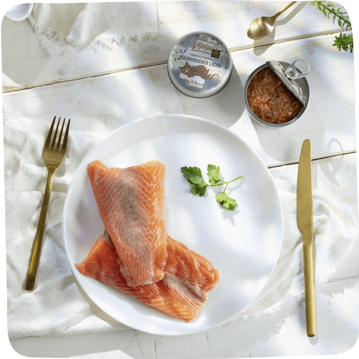 MJAMJAM Pure Fillet Pleasure - Culinary Salmon - Pets Villa