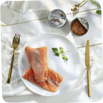 MJAMJAM Pure Fillet Pleasure - Culinary Salmon