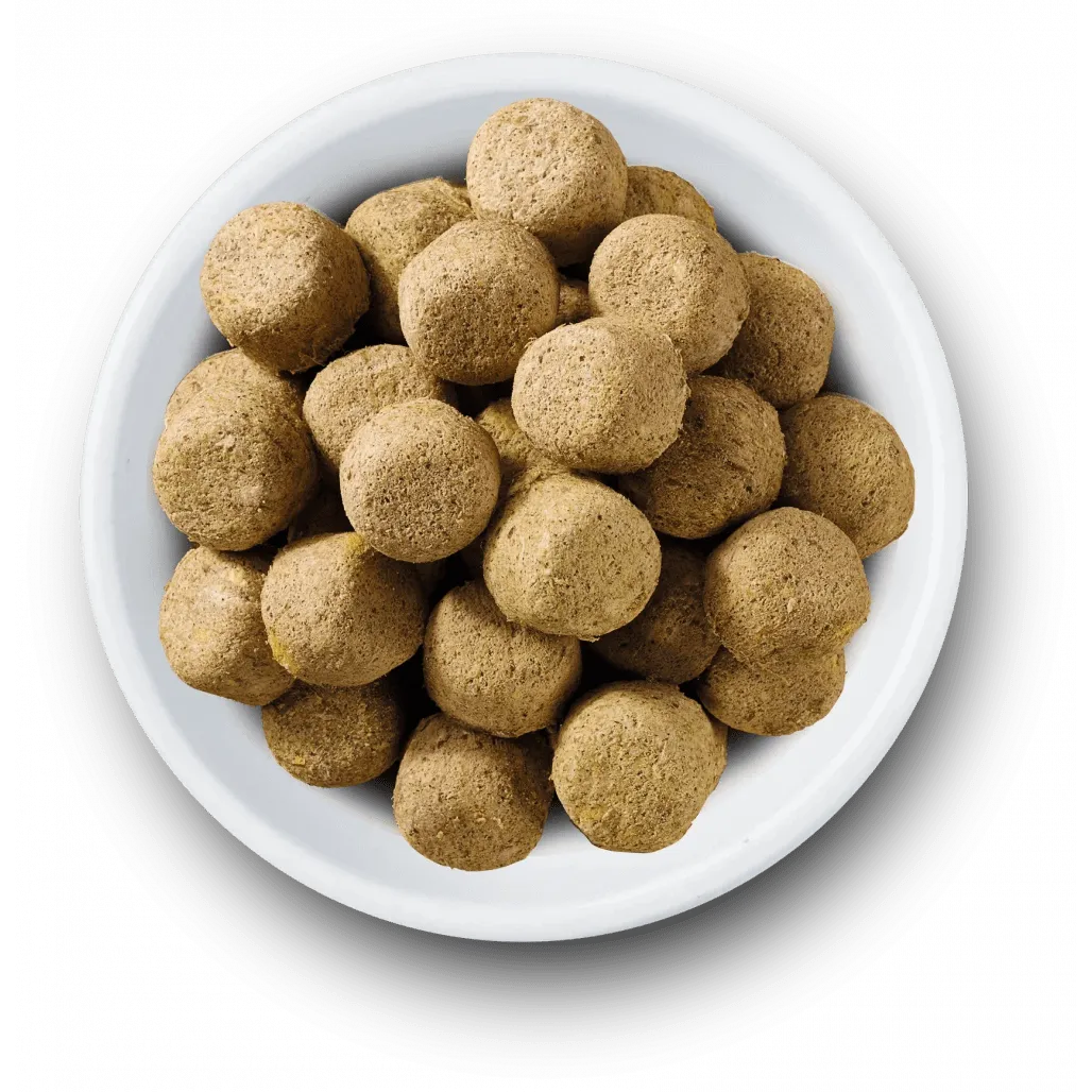 Freeze dried best sale lamb dog food