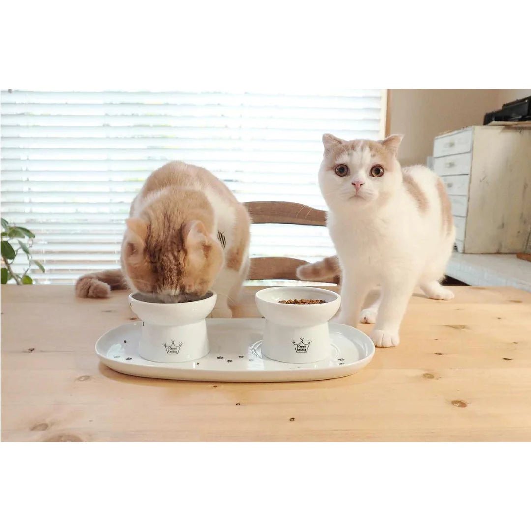 NECOICHI Dining Tray Double - Pets Villa