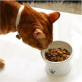 NECOICHI Raised Cat Food Bowl (Cupcake) - Pets Villa