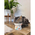 NECOICHI Raised Cat Food Bowl (Fuji Limited Edition) - Pets Villa