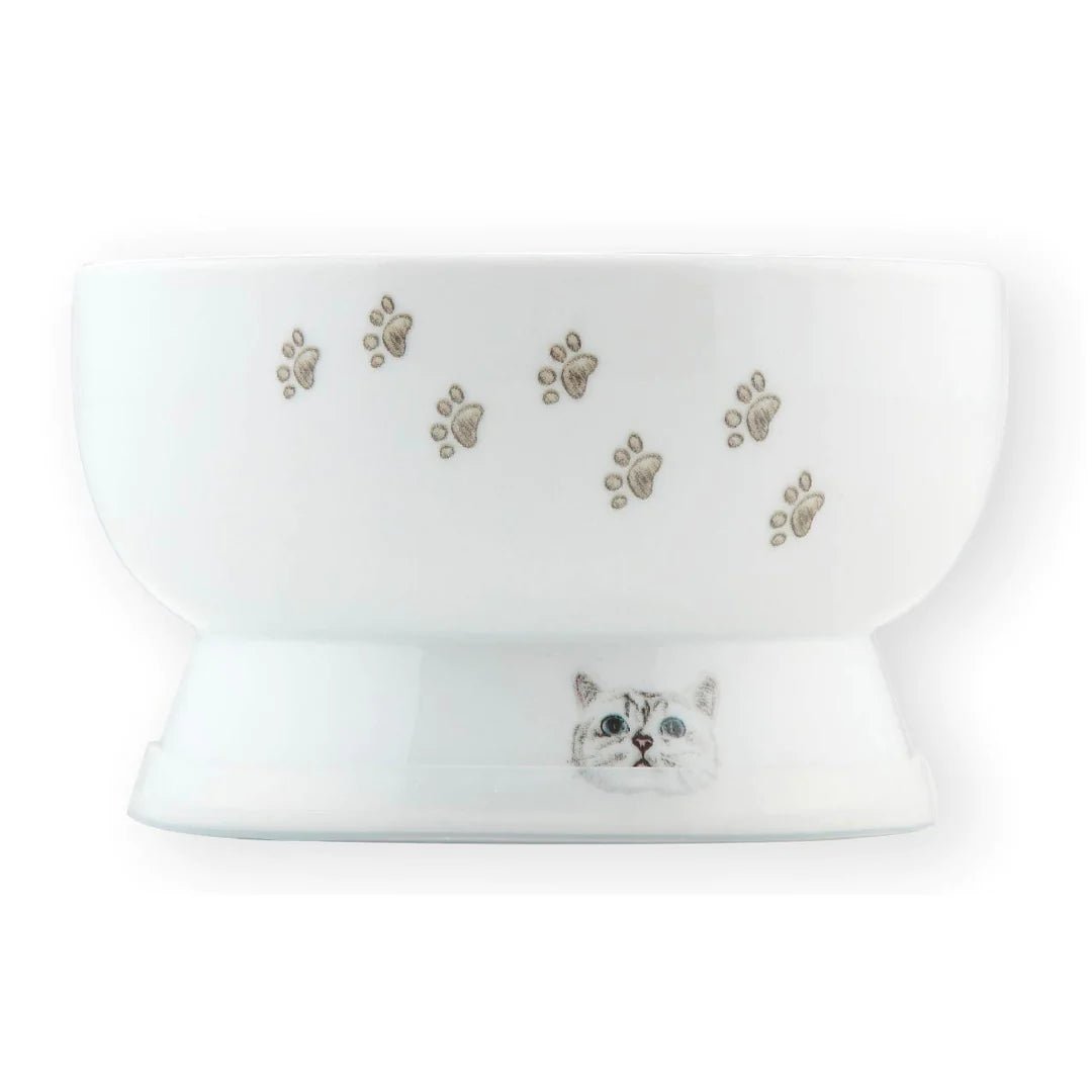 Necoichi raised 2024 cat water bowl