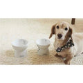 NECOICHI Raised Dog Food Bowl - Pets Villa