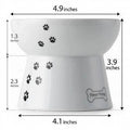 NECOICHI Raised Dog Food Bowl - Pets Villa