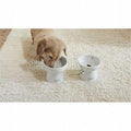 NECOICHI Raised Dog Water Bowl - Pets Villa