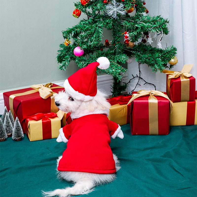 New Christmas Santa Pet Costume - Pets Villa