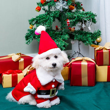 New Christmas Santa Pet Costume