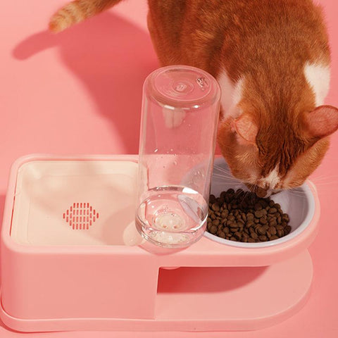 PAKEWAY All-in-One Feeding Bowl Set - Pets Villa