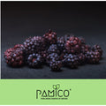 PAMICO - Goodies Blackberries Freeze-Dried 30g - Pets Villa