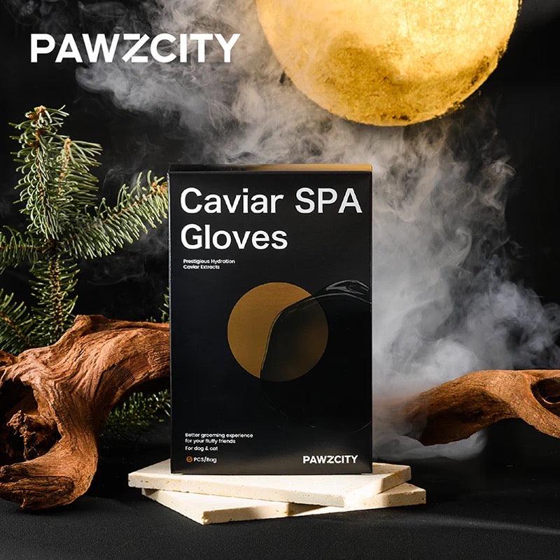 PAWZCITY Caviar Spa Pet Gloves 5pks - Pets Villa