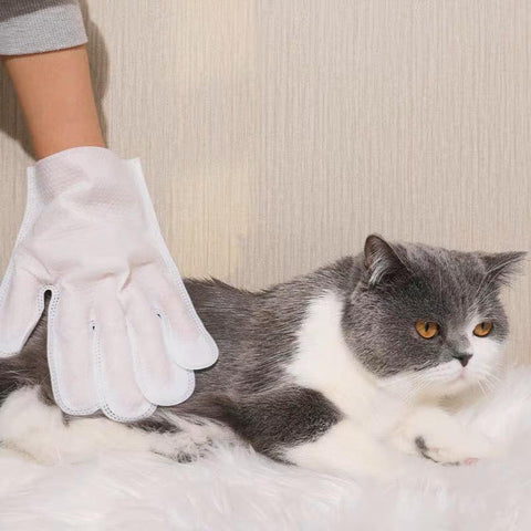 PAWZCITY Caviar Spa Pet Gloves 5pks - Pets Villa