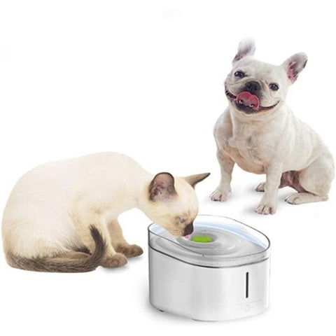 ALL FOR PAWS cat water dispenser with UV light and triple filtration to improve water quality