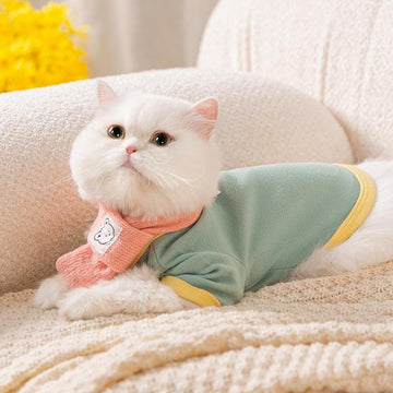 Pet Hoodie With Scarf