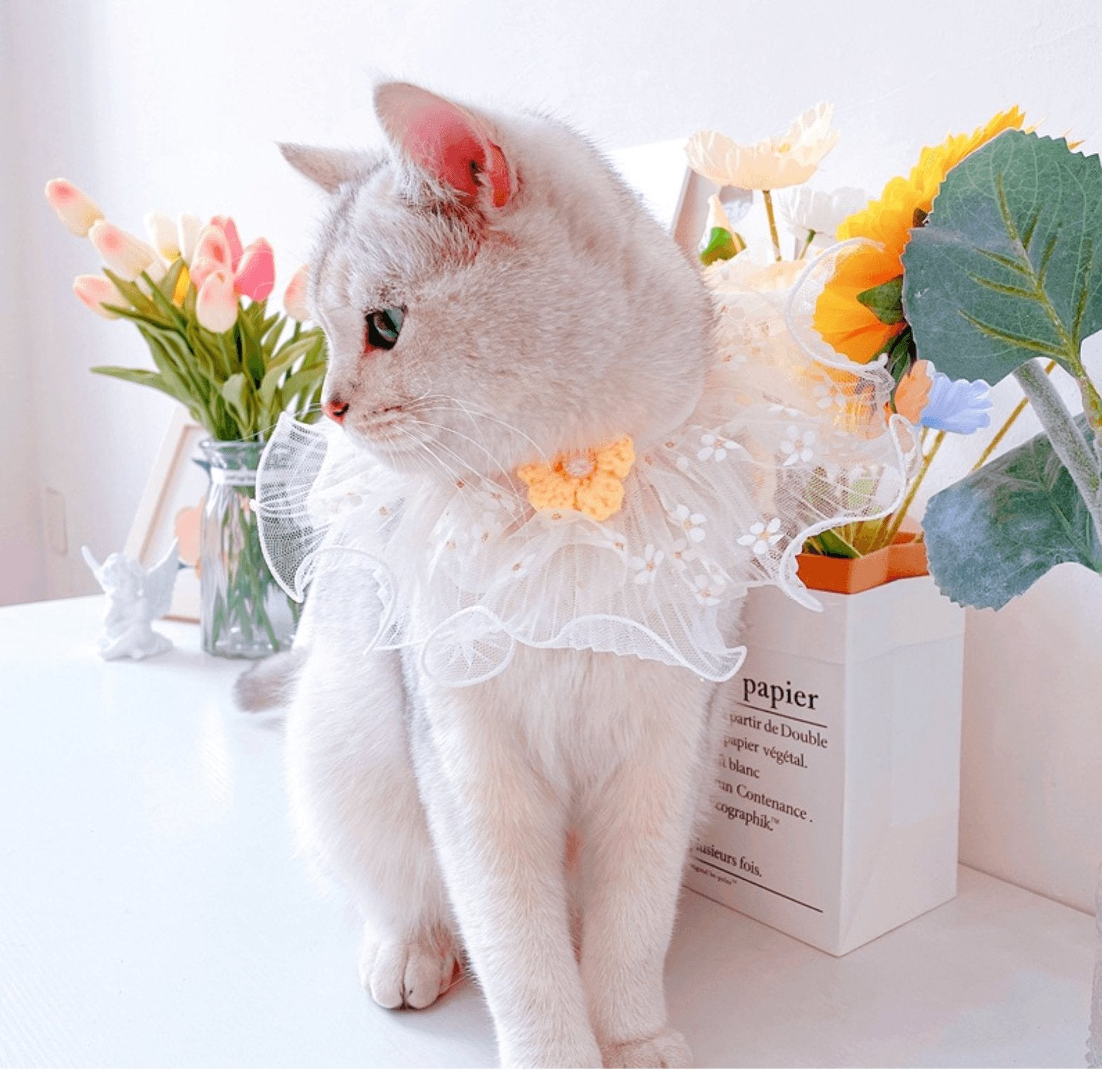Pet Lace Decorative Collar - Pets Villa
