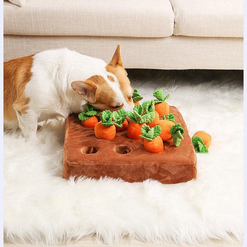 Pet Snuffle Carrot Puzzle Toy - Pets Villa