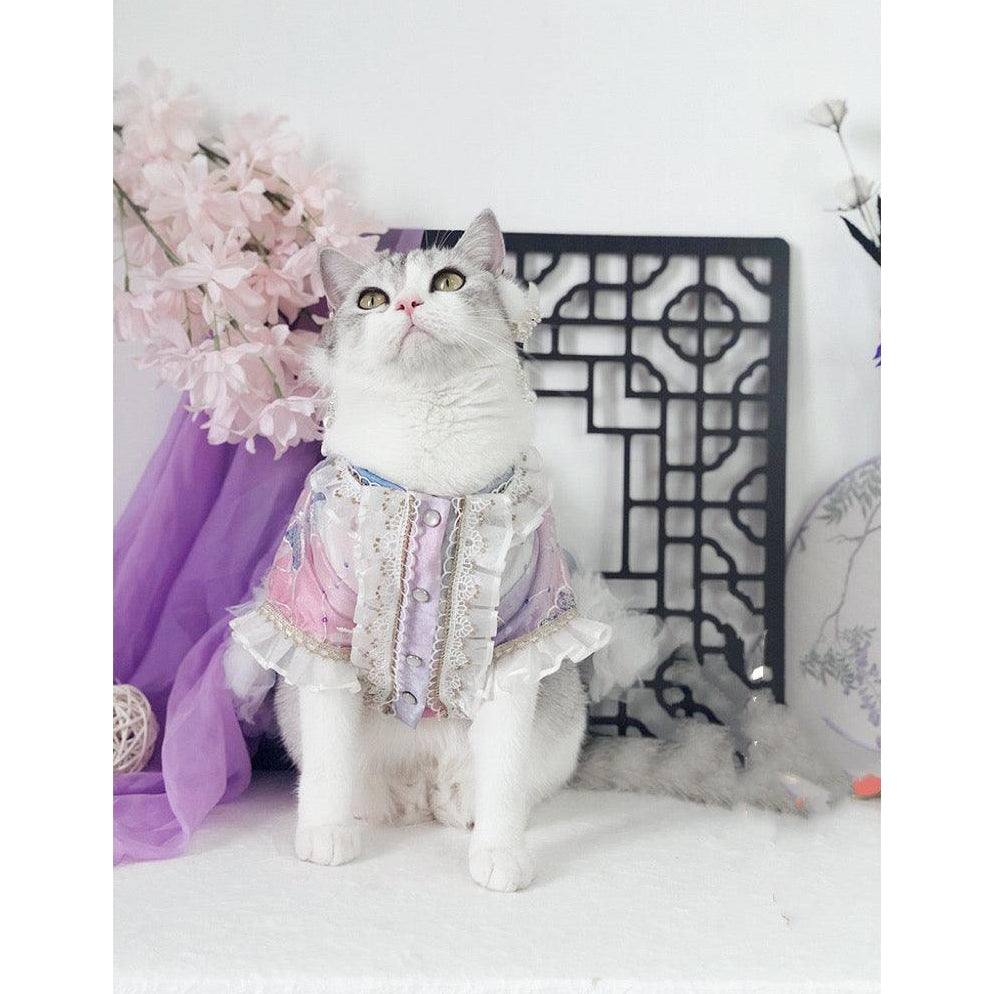 Cat clothes online hotsell