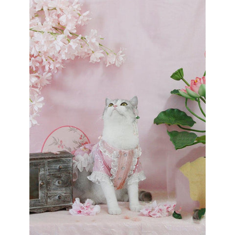 PETACULAR Luxury Set XISHI Beauty Han-Style Clothes - Pets Villa