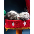 PETSVILLE Jester Cat Tree and Scratch Post - Pets Villa