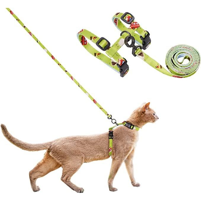 A 2025 cat harness