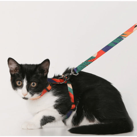 PIDAN Cat Harness Set - Pets Villa