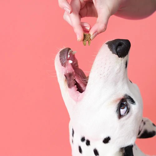 POOCH&MUTT Dental Probiotic Meaty Treats - Pets Villa