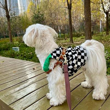 PUPPYME Checked Dress