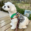 PUPPYME Checked Dress - Pets Villa