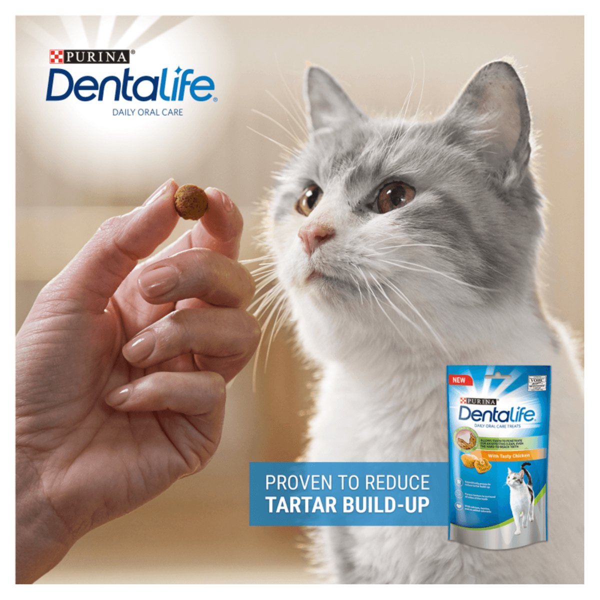 PURINA Dentalife Chicken Cat Treats (40g) - Pets Villa