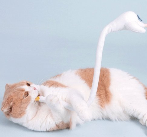 PURLAB Bosie Goose Cat Teaser - Pets Villa