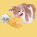 PURLAB Cheese Cat Toy With Catnip - Pets Villa