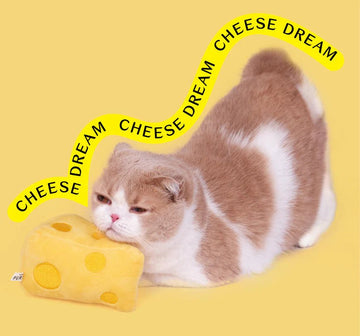 PURLAB Cheese Cat Toy With Catnip