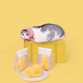 PURLAB Cheese Cat Toy With Catnip - Pets Villa