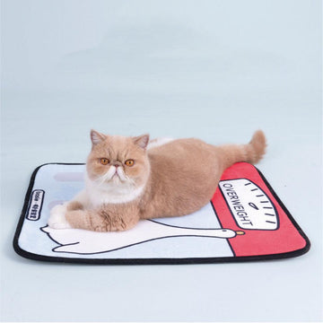 PURLAB Overweight Goose Mat