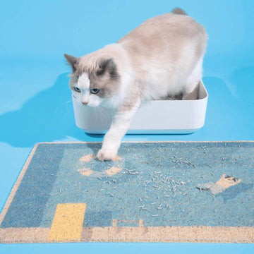 PURLAB Swimming Pool Cat Litter Mat