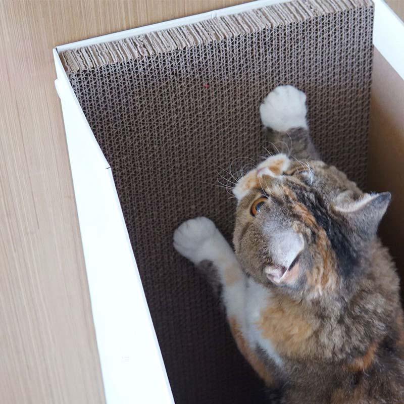 PURROOM Book Stand Cat Scratcher - Pets Villa