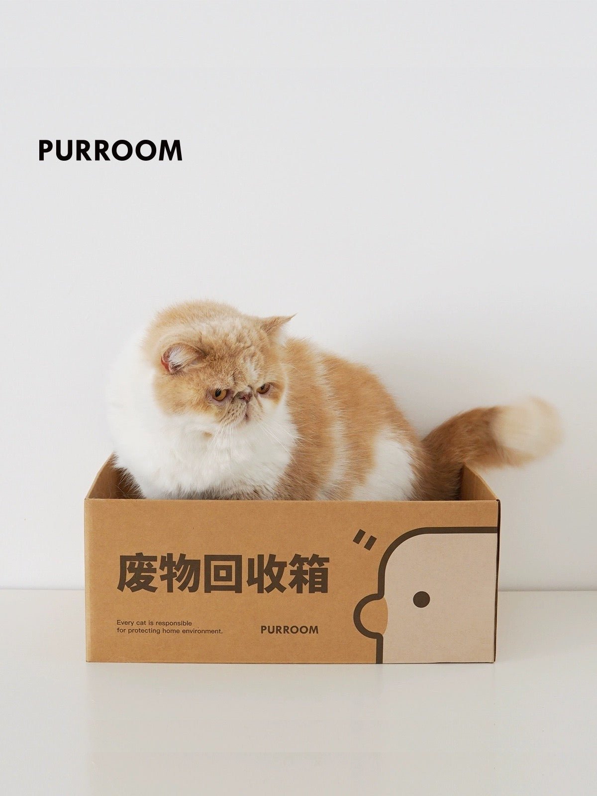 PURROOM Cat 'Recycle' Scratching Box - Pets Villa