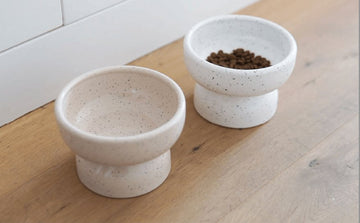 PURROOM Ceramic Pet Bowl - Pets Villa