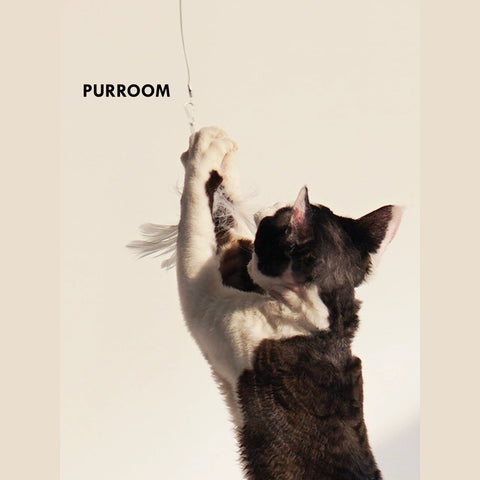 PURROOM Extendable Cat Teaser - Pets Villa