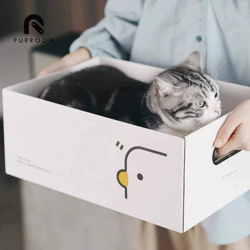 PURROOM Little Chicken Cat Scratcher Box - Pets Villa