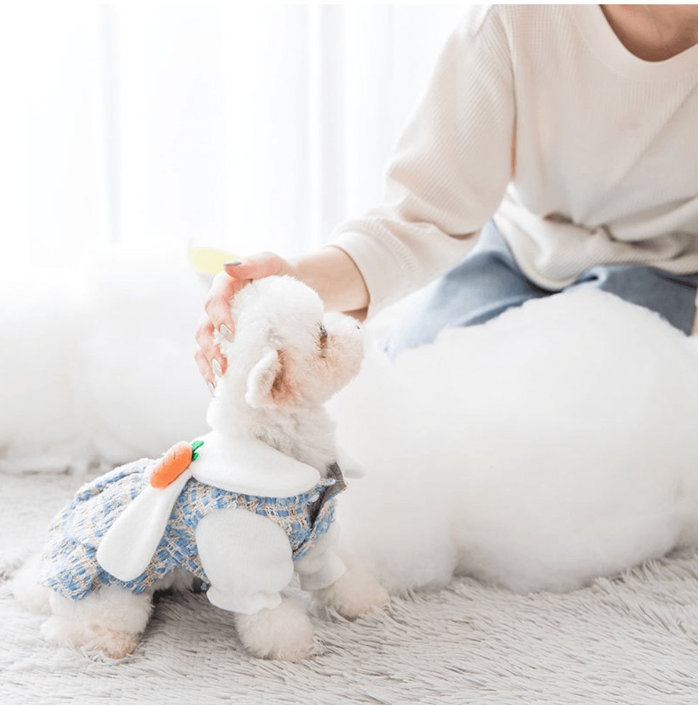 Rabbit Style Pet Dress - Pets Villa