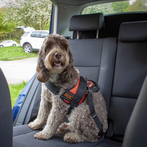 RAC Harness Seatbelt Connector - Pets Villa