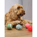 ROSEWOOD Christmas Ball Gift Pack for Dogs - Pets Villa