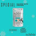 SCHESIR Special Mousse Salmon with Chicken for Skin & Coat 70g - Pets Villa