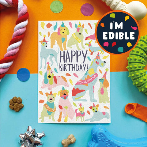 SCOFF PAPER Edible Birthday Cards for Dogs - Pets Villa