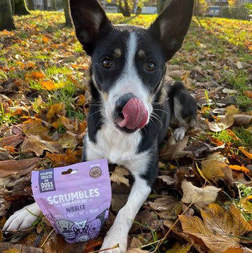 SCRUMBLES Calming Treats for Dogs 100g